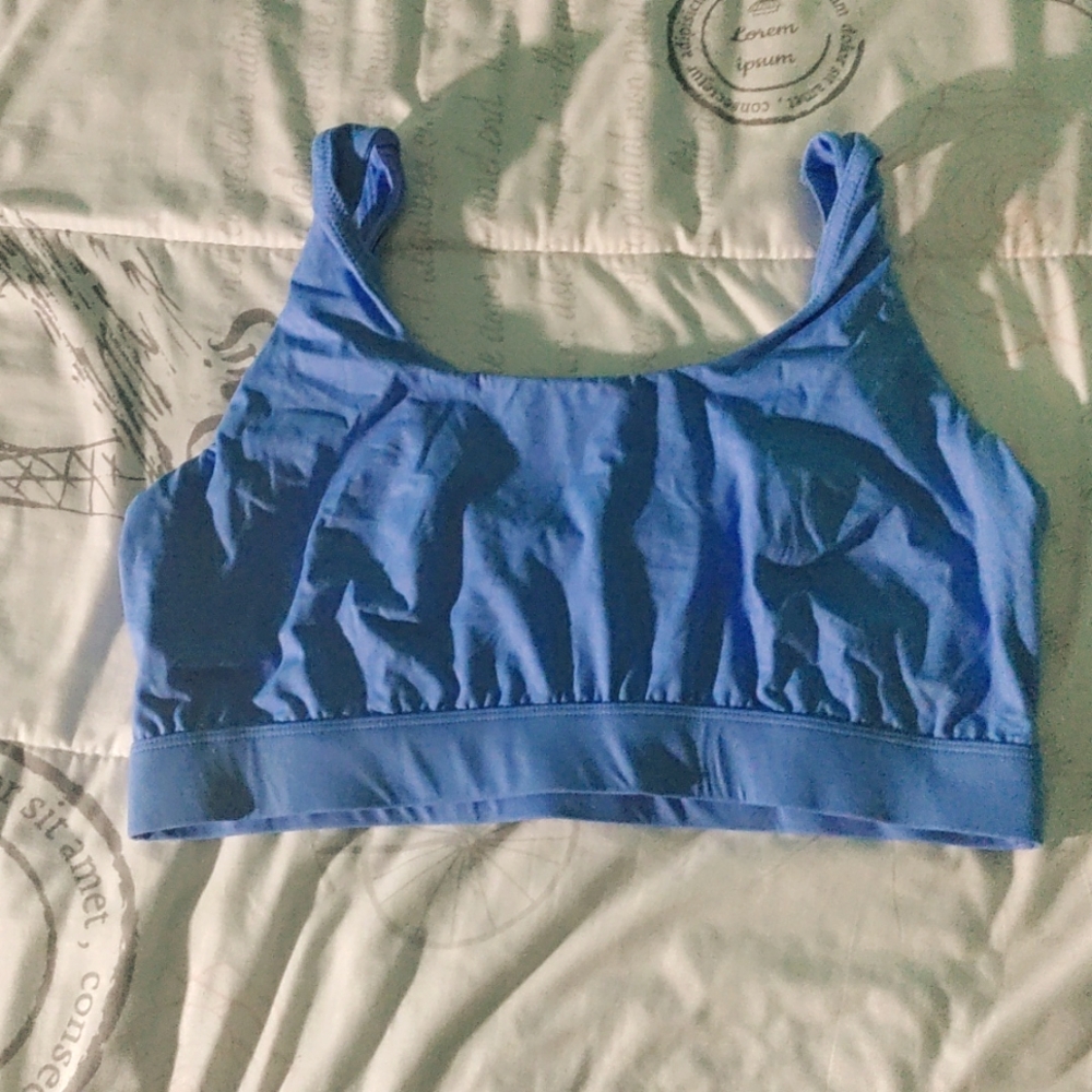 Blue silky sports bra